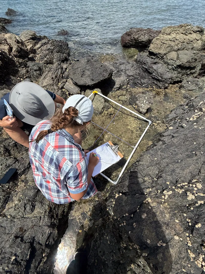 Te Taiao Impact Hub image