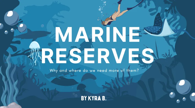 Ocean Youth Aotearoa Presentation image