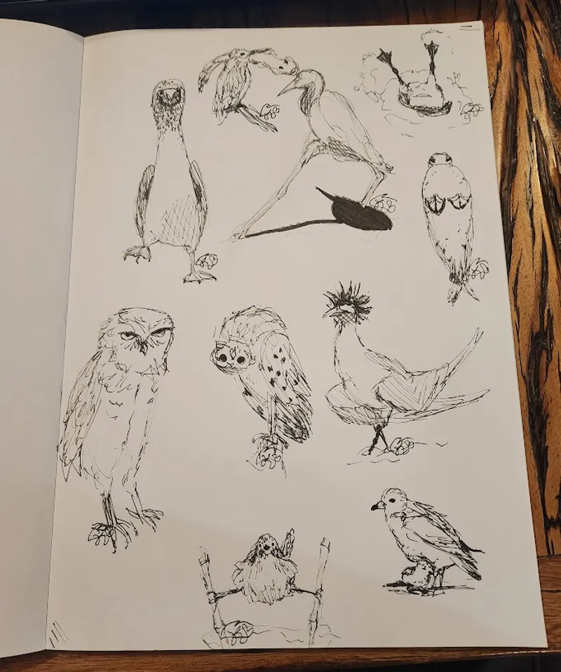 Bird sketchbook drawings