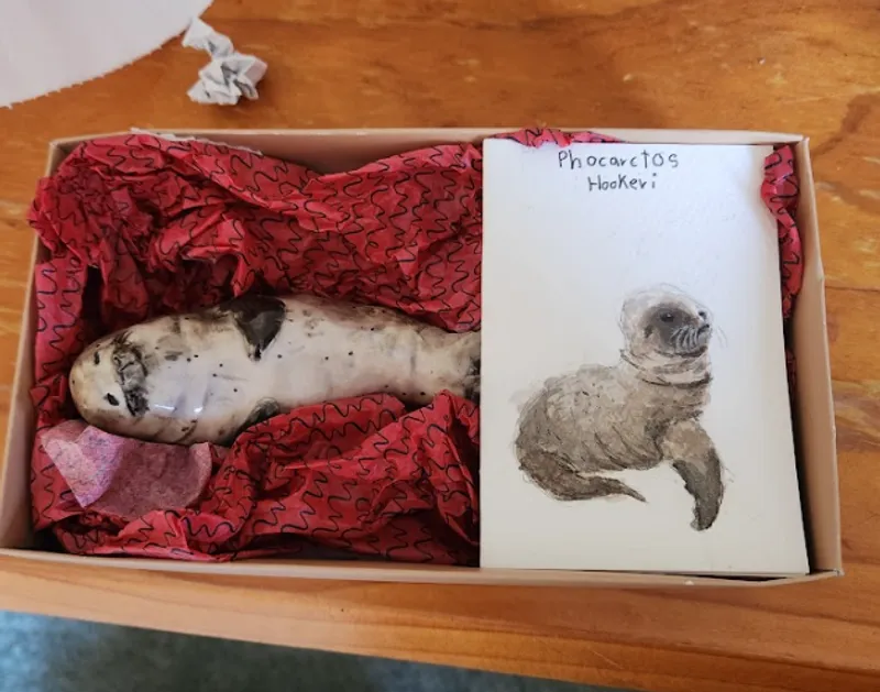 Ceramic seal sculpture in a box