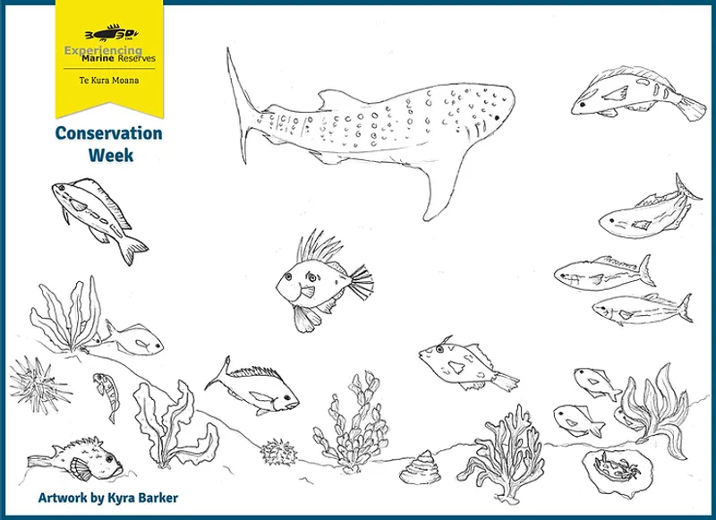 Conservation Week Colouring Project image