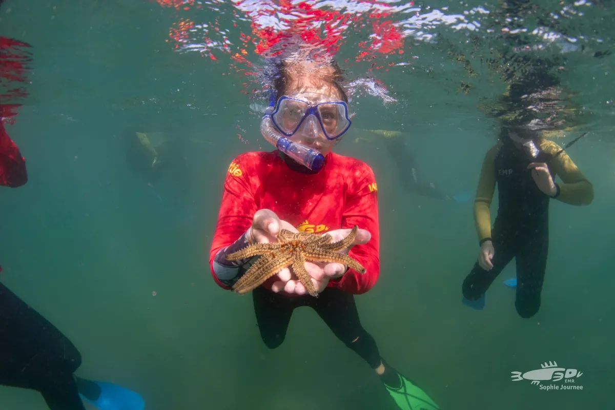 Experiencing Marine Reserves hero image