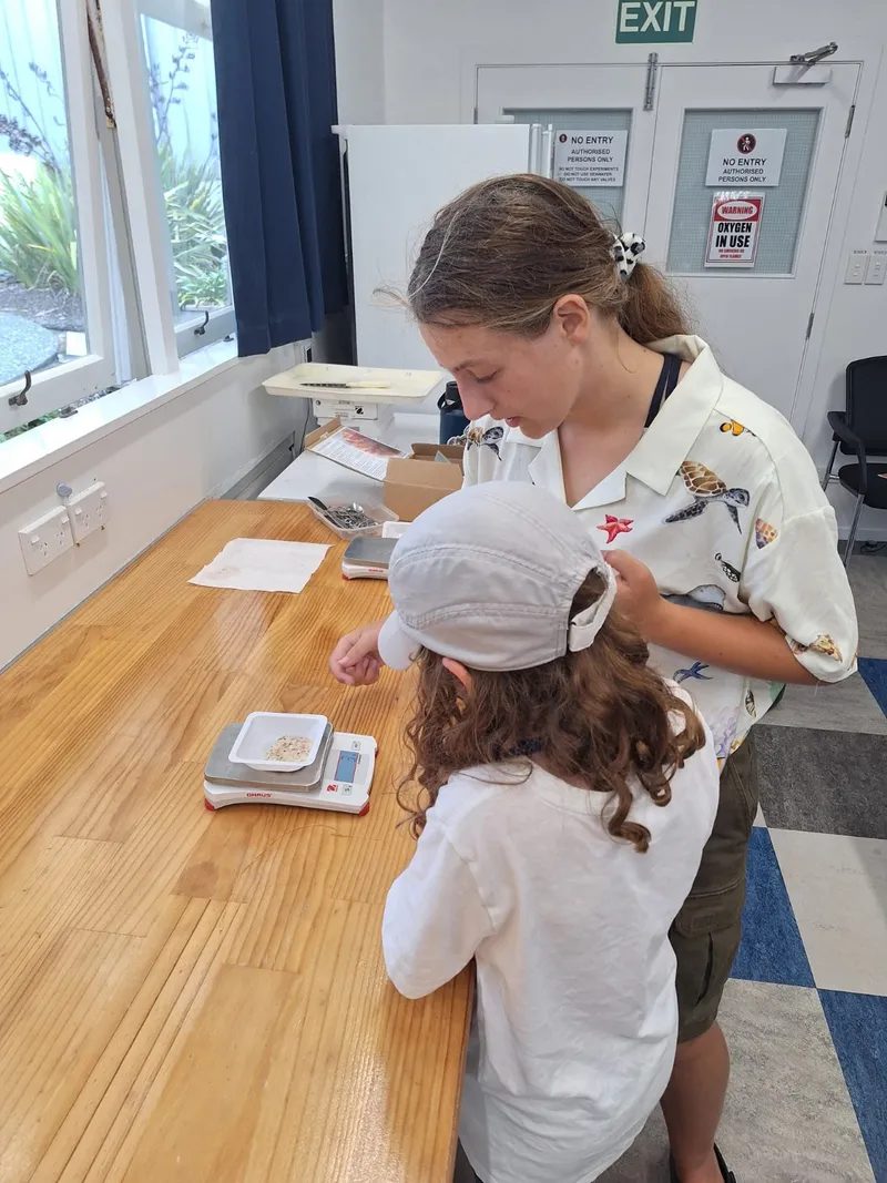 Young Ocean Explorers image